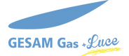 Logo Gesam